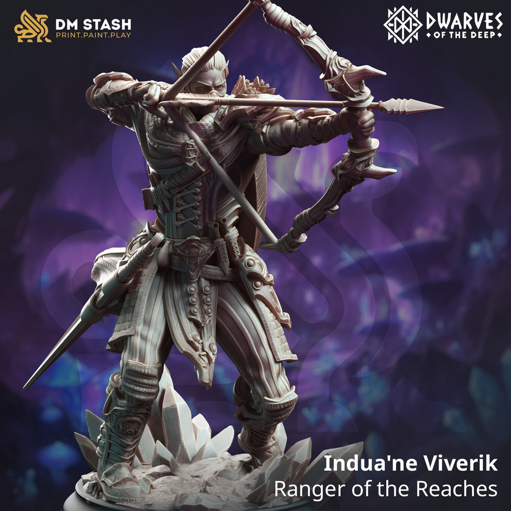 Indua'ne Viverik, Ranger of the Reaches (Male Drow Ranger) (Online Order Only)