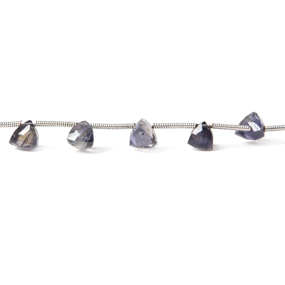 Iolite Beads Top Drilled Trillion (ONLINE ORDER ONLY)