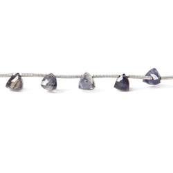 Iolite Beads Top Drilled Trillion (ONLINE ORDER ONLY)