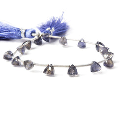 Iolite Beads Top Drilled Trillion (ONLINE ORDER ONLY)