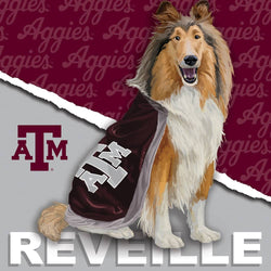 Texas A&M Aggies - NCAA Mascot 100 Piece Jigsaw Puzzle