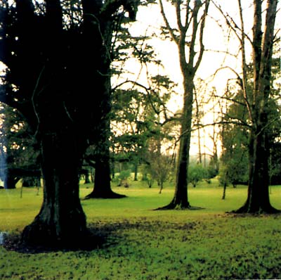 JANDEK - Brooklyn Wednesday [DVD] (ONLINE ORDER ONLY)