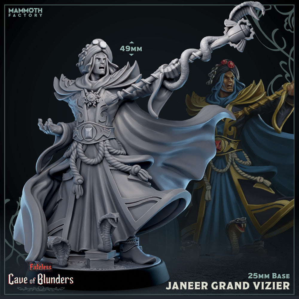Janeer, Grand Vizier (Male Human Sorcerer) (Online Only)
