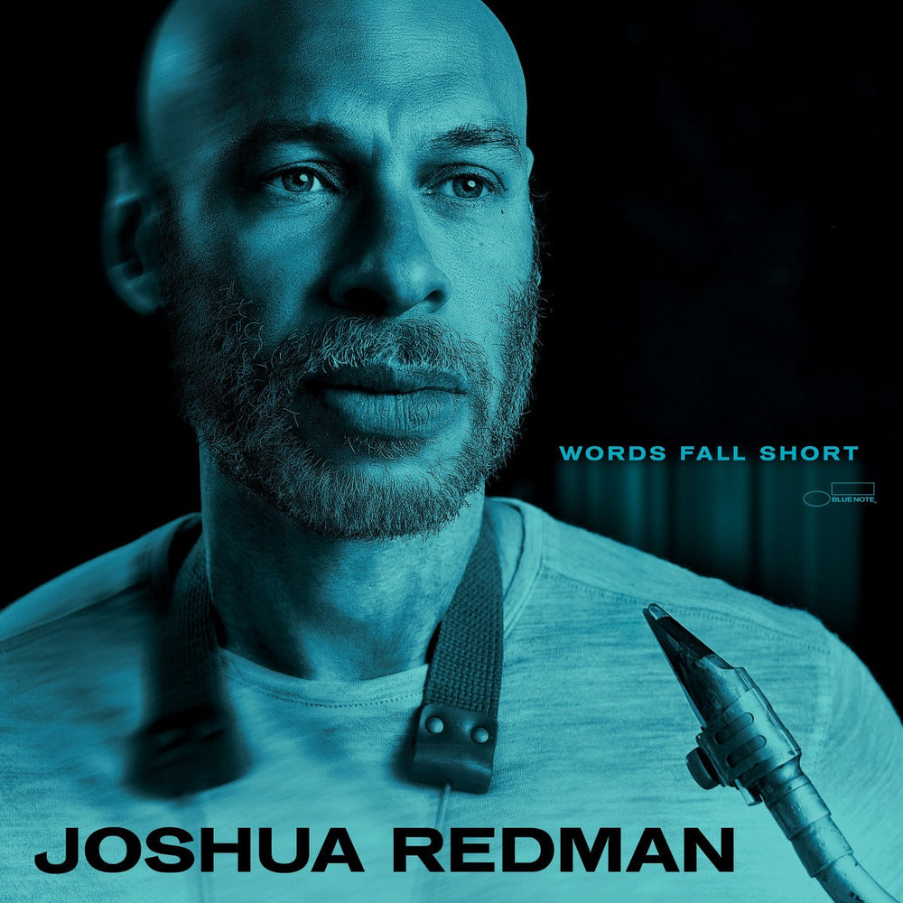 Words Fall Short [180G Lp] [Vinyl] (ONLINE ORDER ONLY)