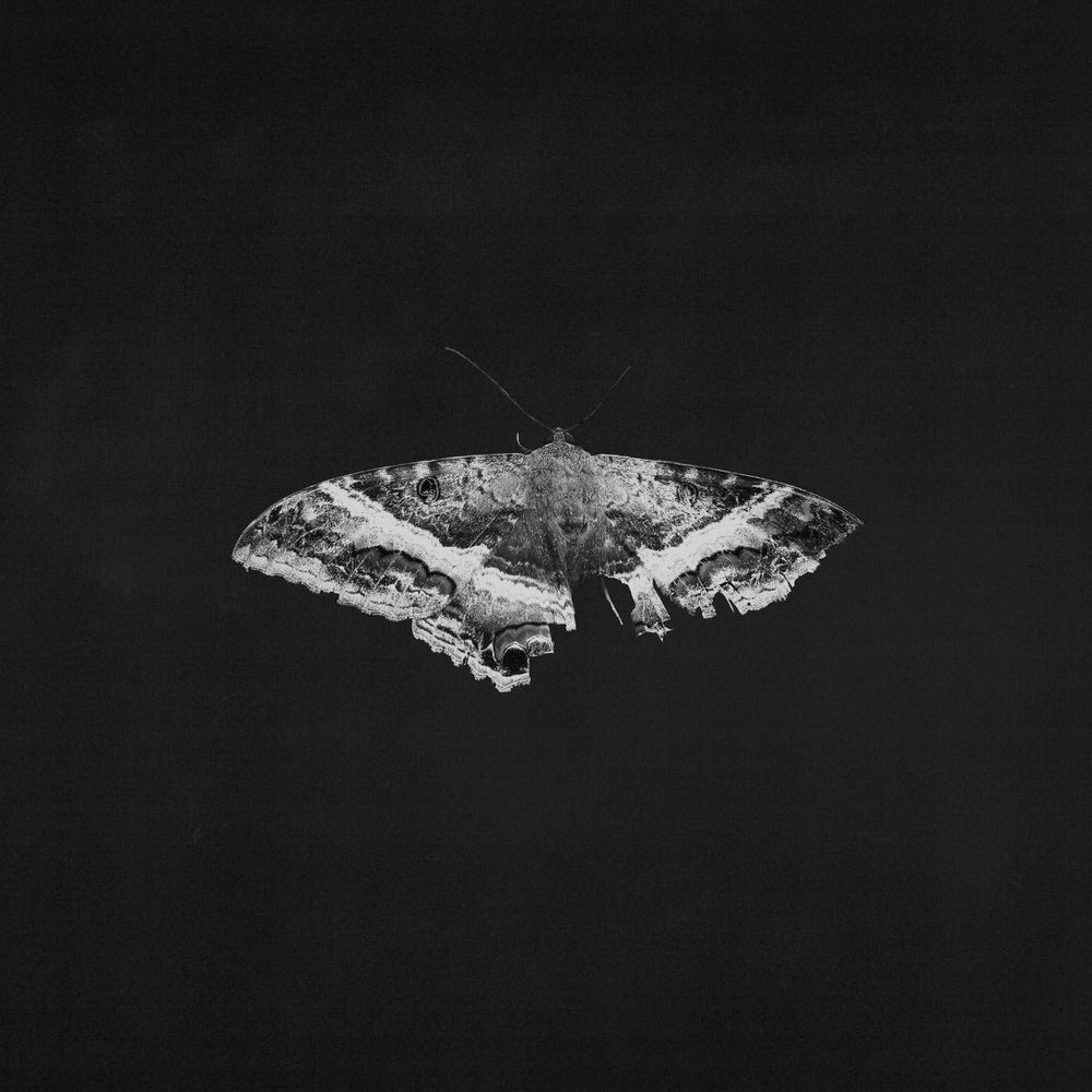 To Pimp A Butterfly (10 Year Anniversary Edition) - Alternate Artwork (Black marble Vinyl) (2 Lp's) [Vinyl] (ONLINE ORDER ONLY)