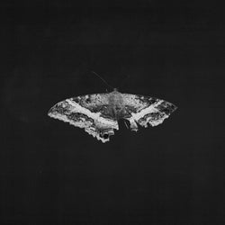 To Pimp A Butterfly (10 Year Anniversary Edition) - Alternate Artwork (Black marble Vinyl) (2 Lp's) [Vinyl] (ONLINE ORDER ONLY)