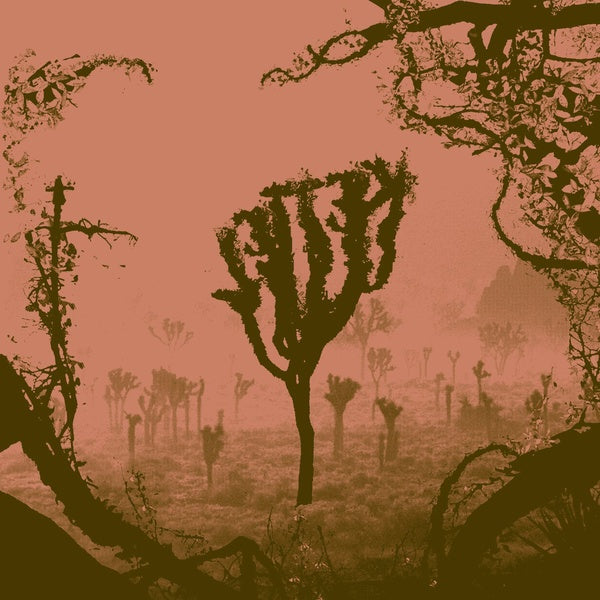 KETTEL - My Dogan [Vinyl] (ONLINE ORDER ONLY)
