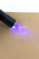 LED Ultraviolet Flashlight (ONLINE ORDER ONLY)