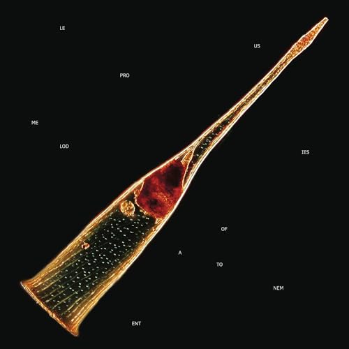 Melodies Of Atonement [CD] (ONLINE ORDER ONLY)