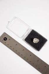 Libyan Desert Glass