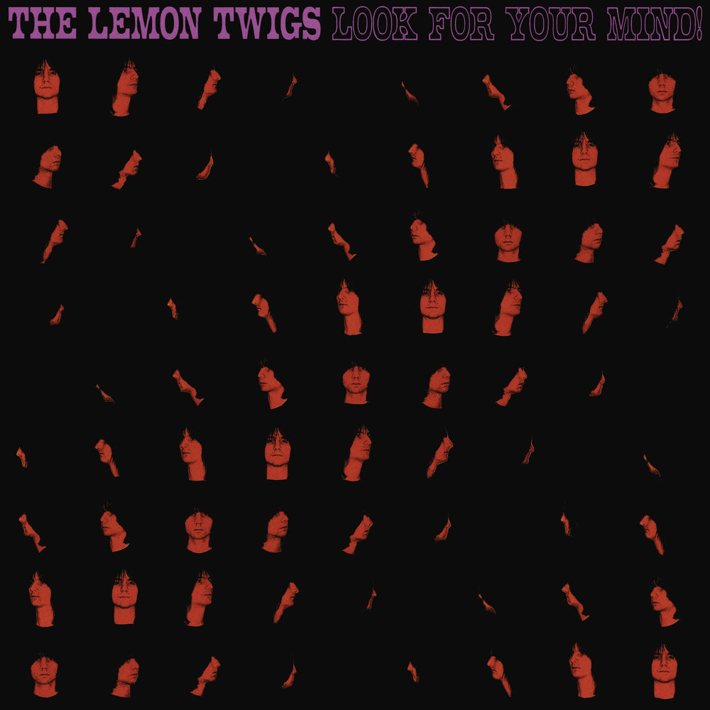 Look For Your Mind! (Transparent Day) [Vinyl]