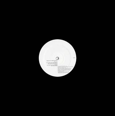 Beelines for Working Bees [Vinyl] (ONLINE ORDER ONLY)