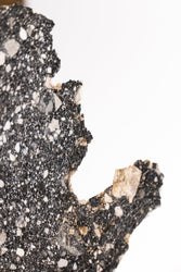 Lunar Meteorite NWA14685 (ONLINE ORDER ONLY)