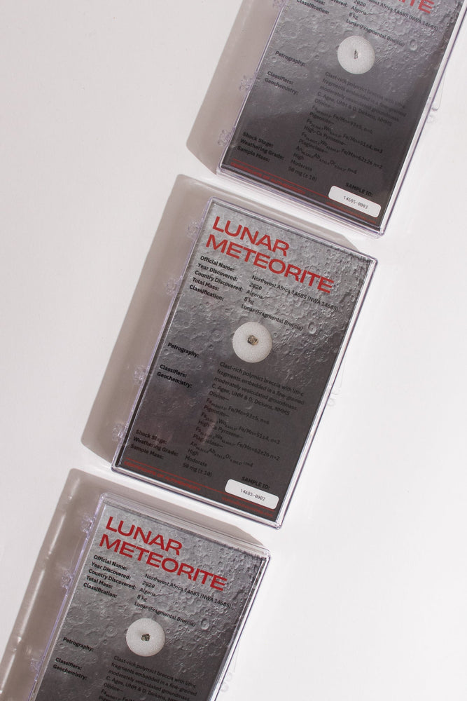 Lunar Meteorite NWA14685 (ONLINE ORDER ONLY)