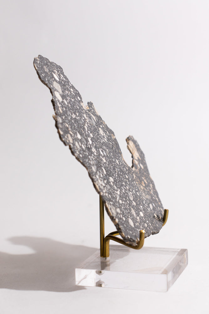 Lunar Meteorite NWA14685 (ONLINE ORDER ONLY)