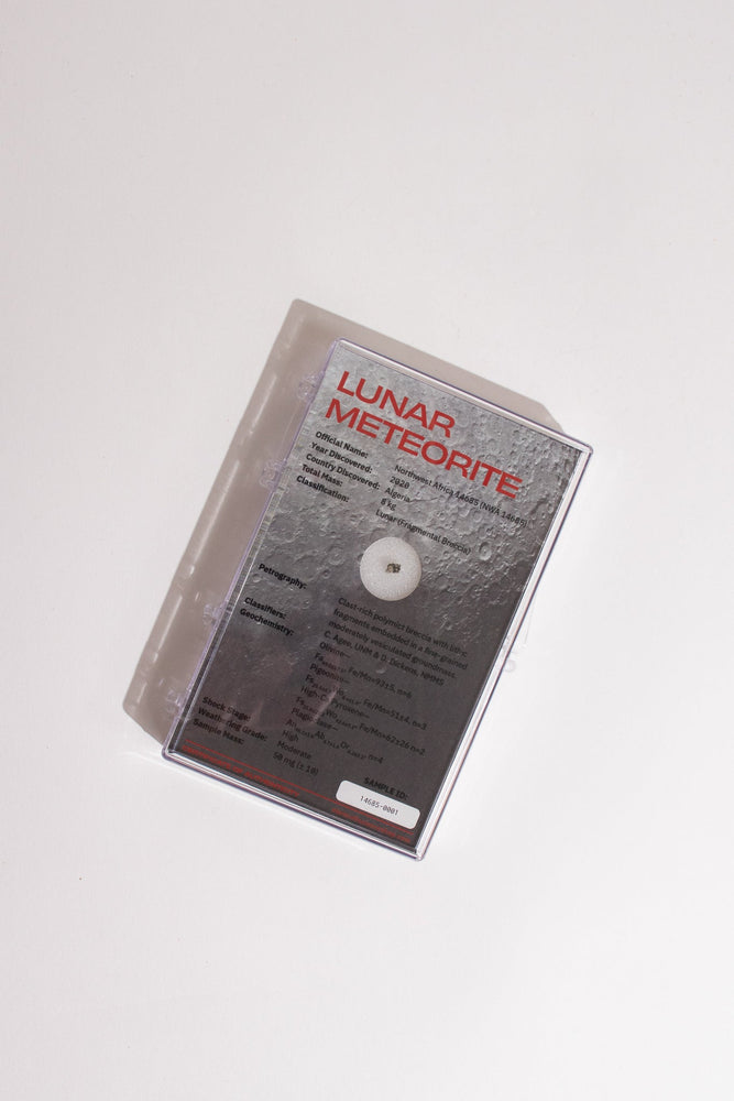 Lunar Meteorite NWA14685 (ONLINE ORDER ONLY)