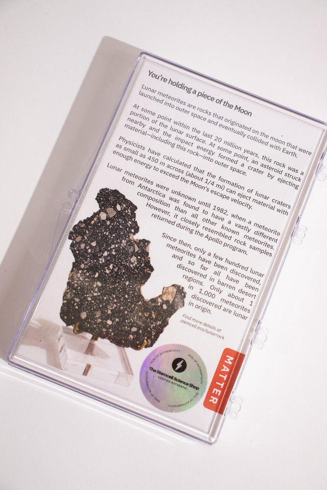 Lunar Meteorite NWA14685 (ONLINE ORDER ONLY)