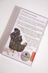 Lunar Meteorite NWA14685 (ONLINE ORDER ONLY)