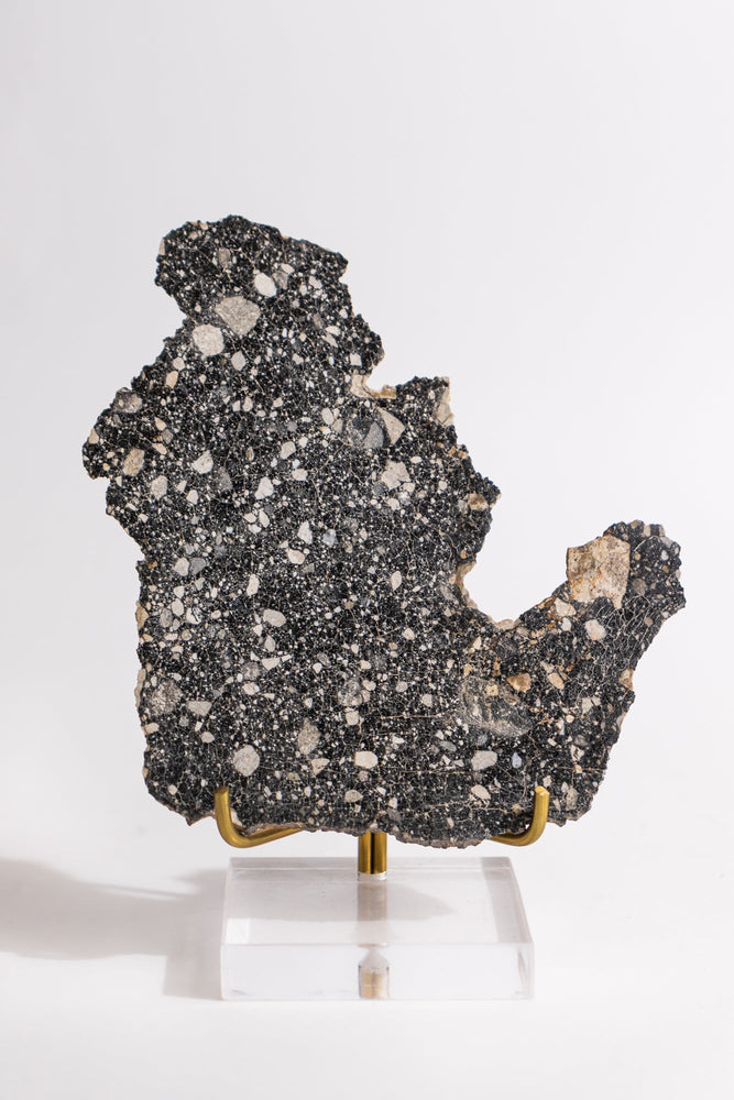 Lunar Meteorite NWA14685 (ONLINE ORDER ONLY)