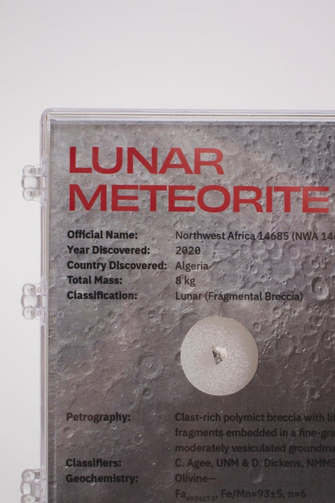 Lunar Meteorite NWA14685 (ONLINE ORDER ONLY)