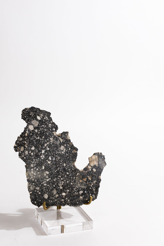Lunar Meteorite NWA14685 (ONLINE ORDER ONLY)