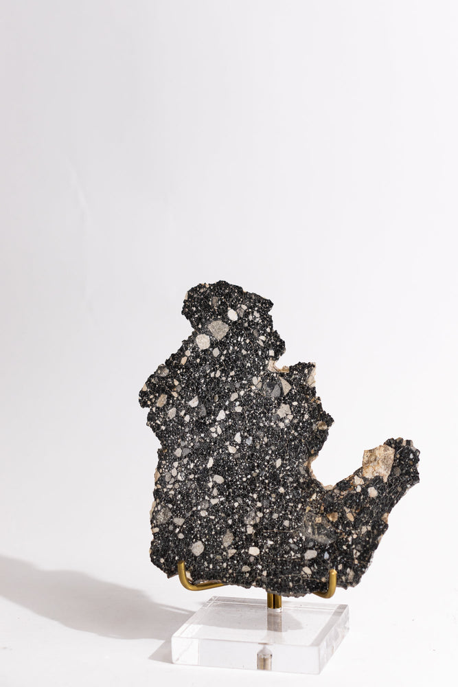 Lunar Meteorite NWA14685 (ONLINE ORDER ONLY)