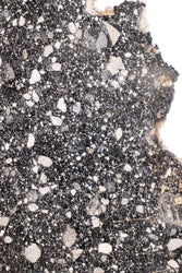 Lunar Meteorite NWA14685 (ONLINE ORDER ONLY)