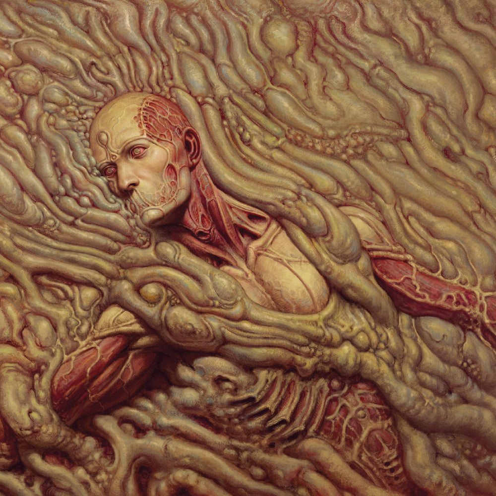 Scorn [Vinyl] (ONLINE ORDER ONLY)