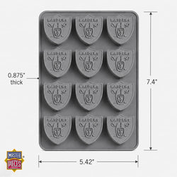 Las Vegas Raiders Ice Cube Tray