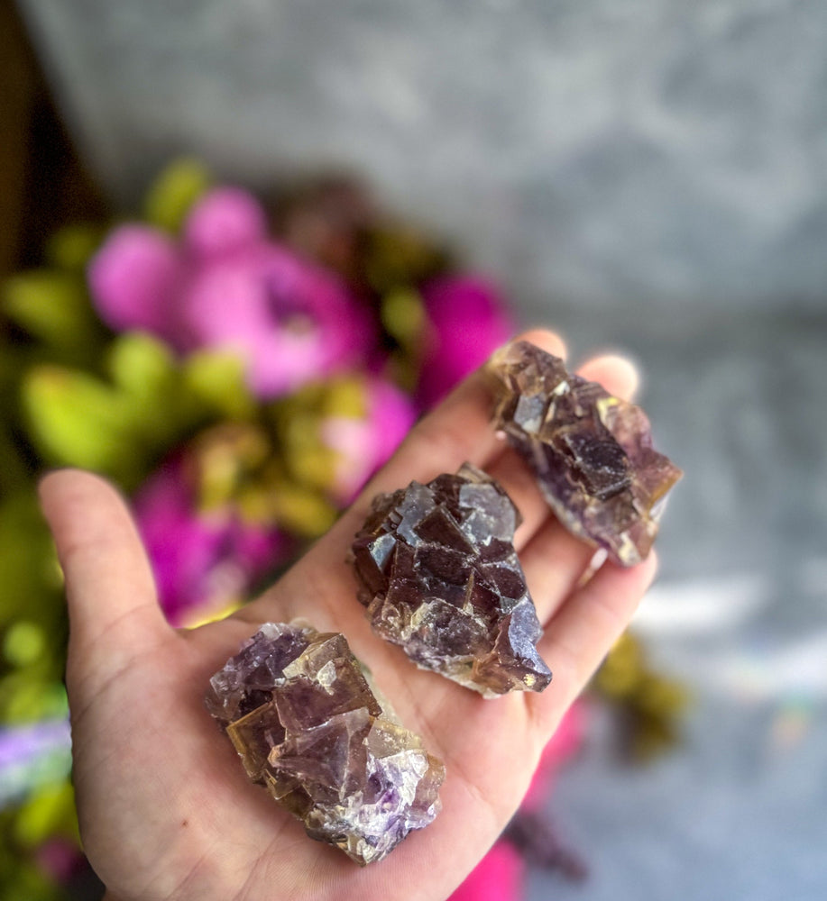 Large ANHUI Yellow Fluorite with Thousand Layer Purple Phantoms, RARE Minerals (ONLINE ORDER ONLY)