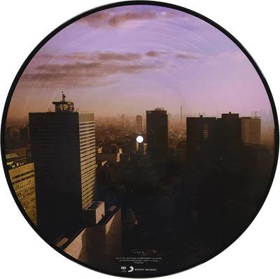 Ultra Vivid Lament (Picture Disc Vinyl) [Import] [Vinyl] (ONLINE ORDER ONLY)