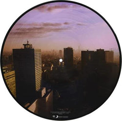 Ultra Vivid Lament (Picture Disc Vinyl) [Import] [Vinyl] (ONLINE ORDER ONLY)
