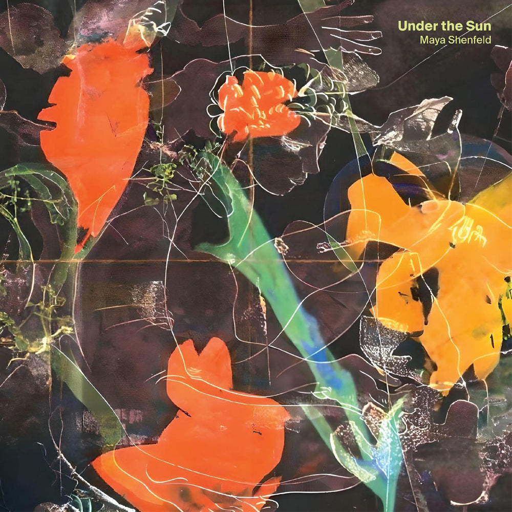 Under the Sun [CD]