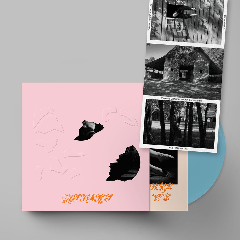 The Land Is Inhospitable and So Are We (IEX w/ Baby Pink Slipcase)' (Robin Egg Blue) [Vinyl]