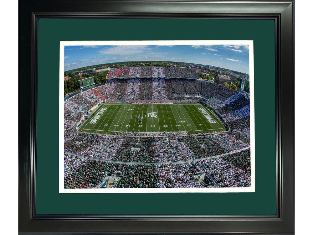 Framed Spartan Stadium Michigan State Spartans 11"x14" NCAA Football Photo Professionally Matted