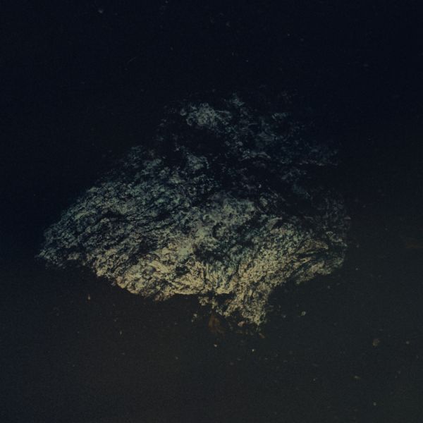 Multicast Dynamics - Lost World [CD] (ONLINE ORDER ONLY)