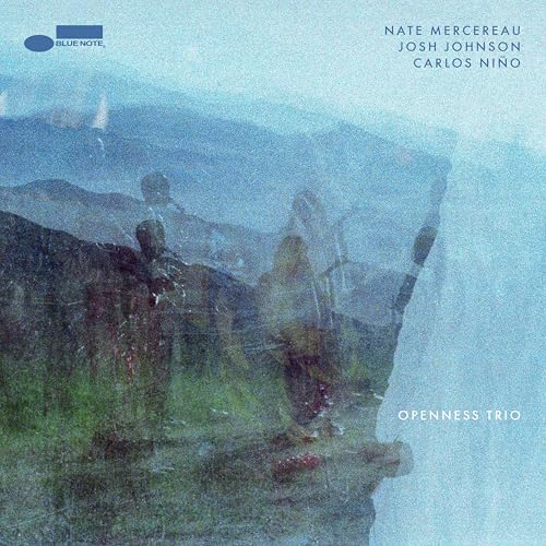 Openness Trio [180G Lp] [Vinyl]
