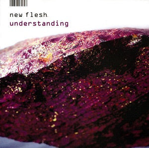 Understanding [CD] (ONLINE ORDER ONLY)