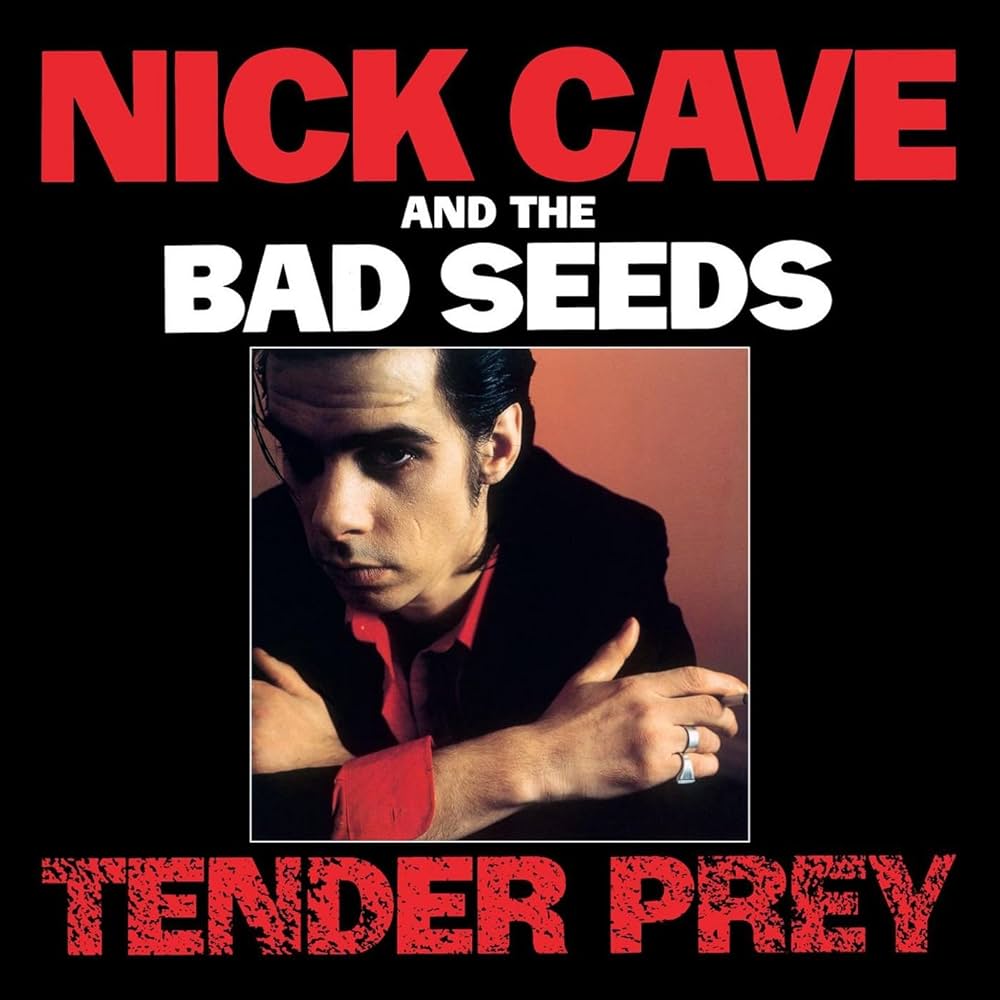 Tender Prey [CD] [CD] (ONLINE ORDER ONLY)