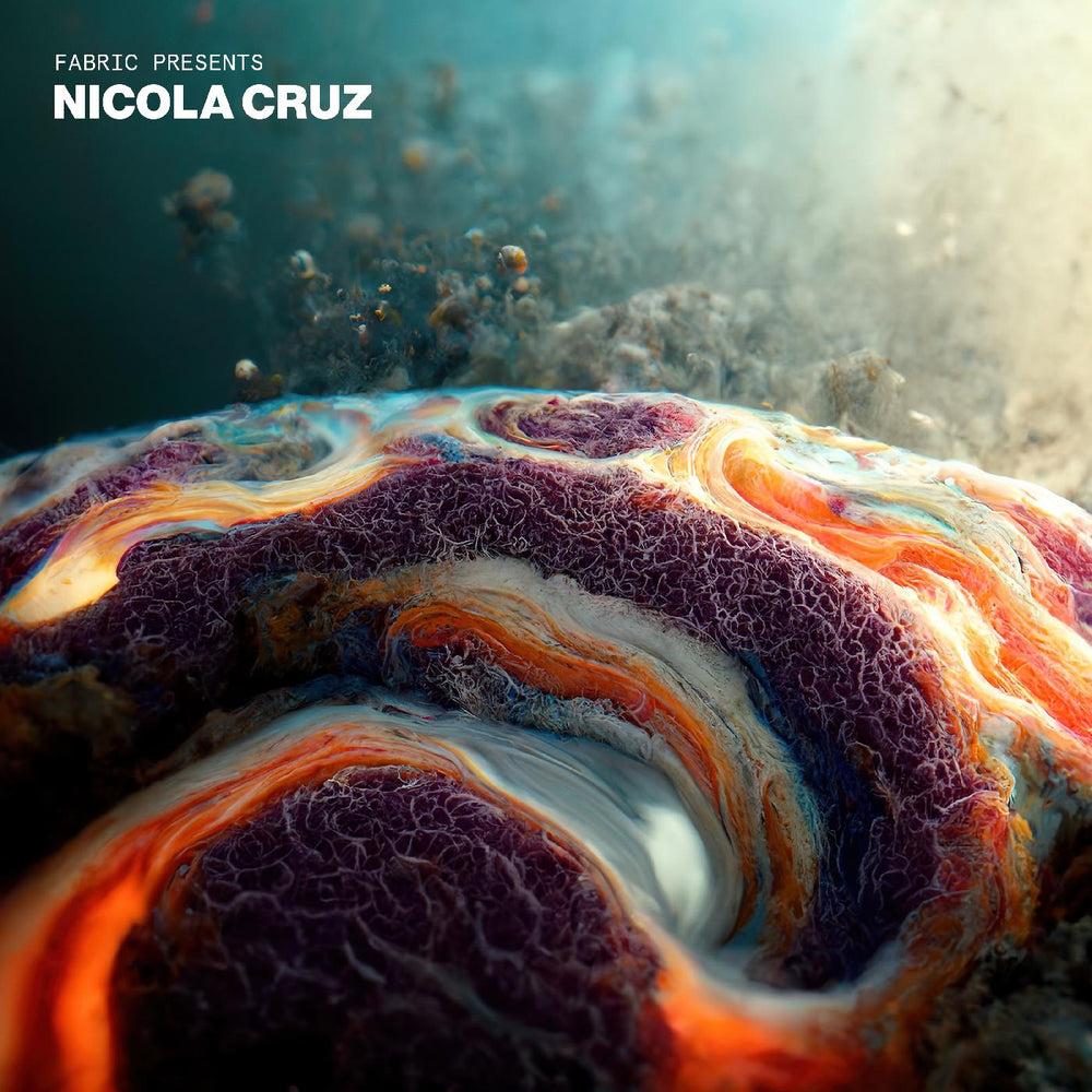 fabric presents Nicola Cruz [CD] (ONLINE ORDER ONLY)