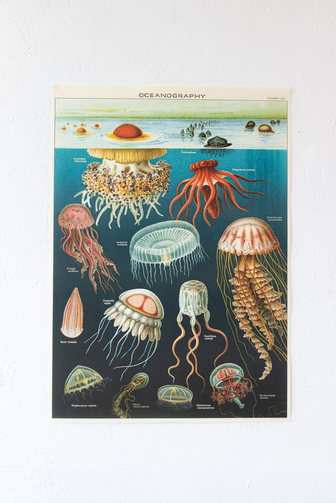Oceanography Scientific Chart (ONLINE ORDER ONLY)