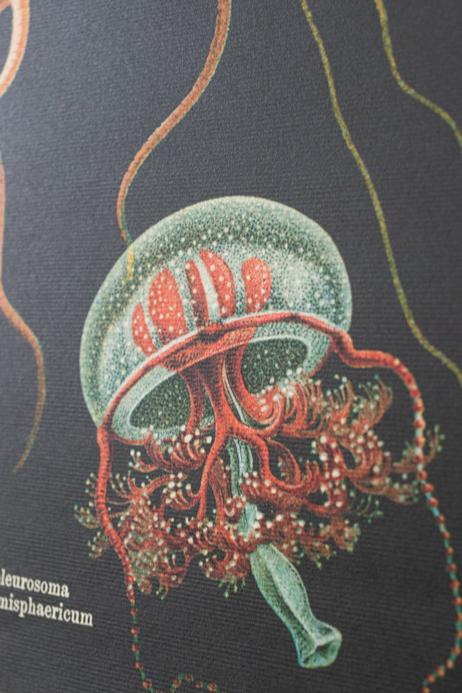 Oceanography Scientific Chart (ONLINE ORDER ONLY)