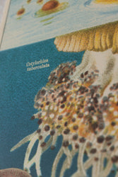 Oceanography Scientific Chart (ONLINE ORDER ONLY)