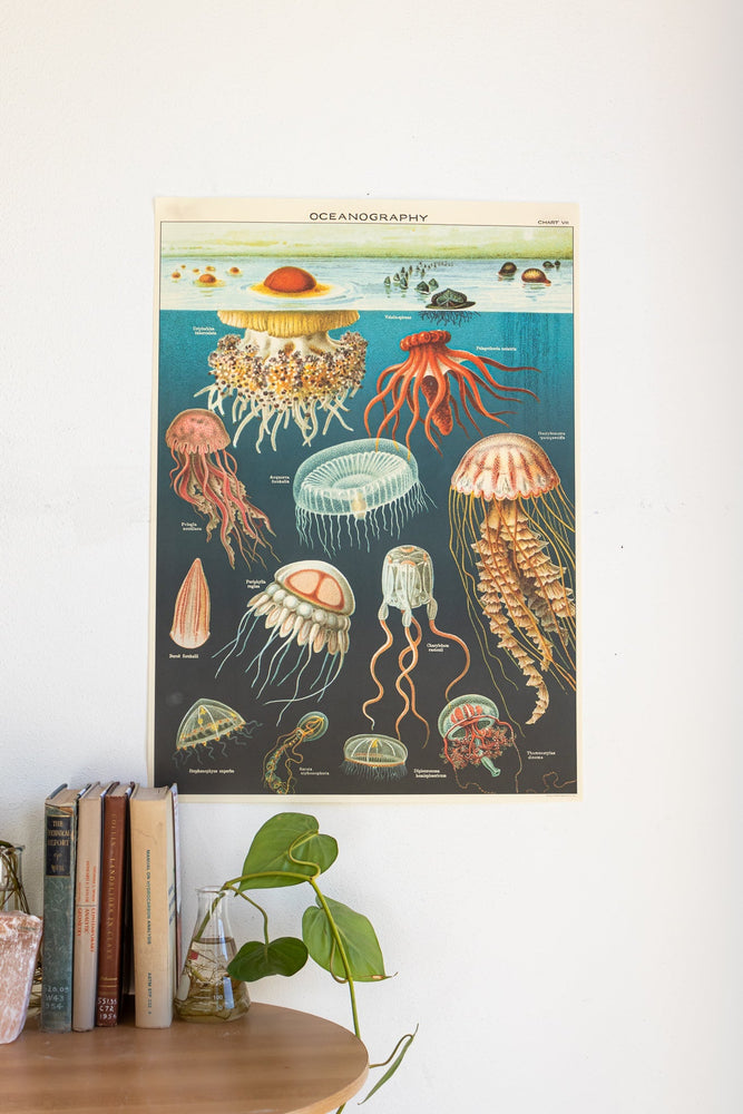 Oceanography Scientific Chart (ONLINE ORDER ONLY)