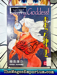 Oh My Goddess Ex Library Vol 13 (Online Order Only)
