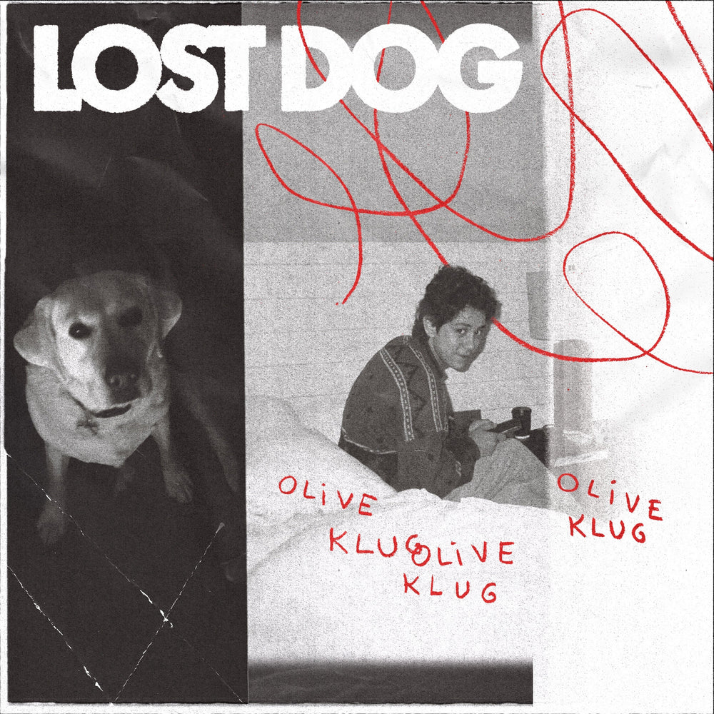 Lost Dog [CD]