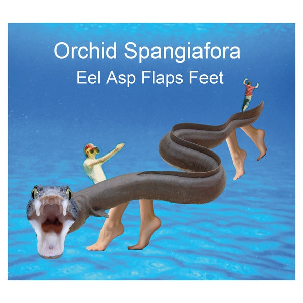 Eel Asp Flaps Feet [CD]