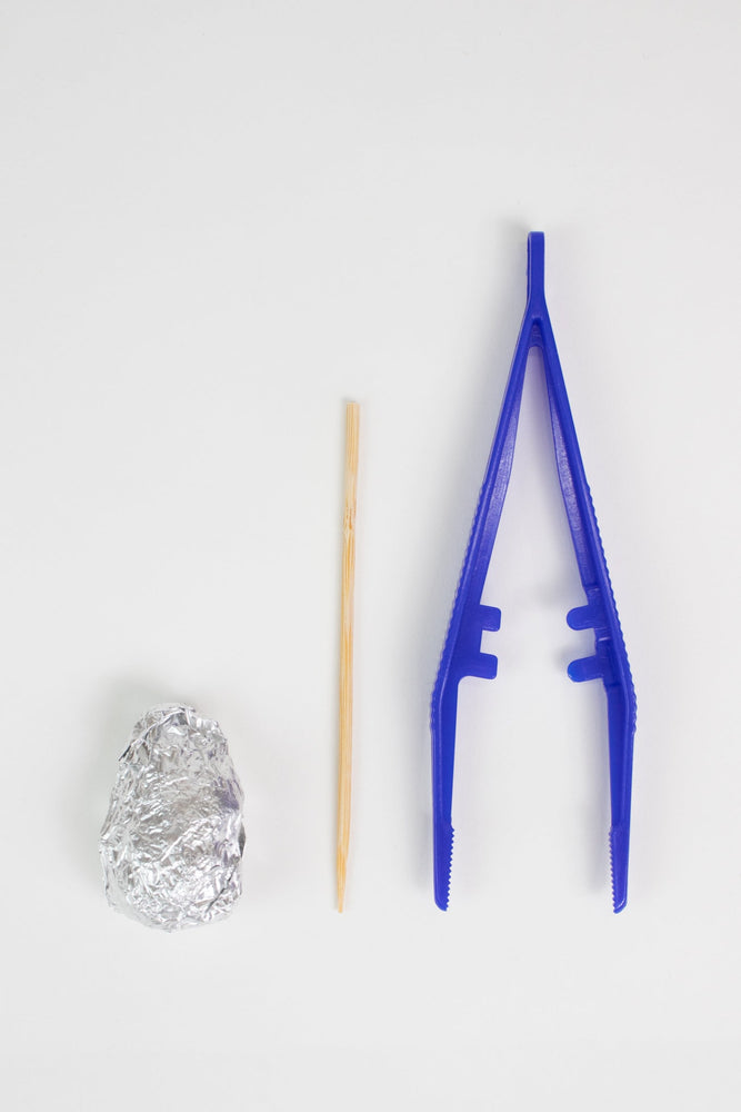 Owl Pellet Dissection Kit