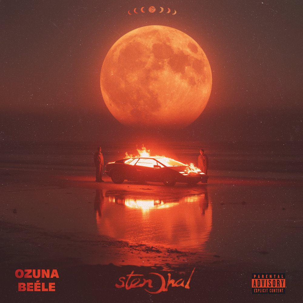 Stendhal [Orange Crush & Apple Red Colored Vinyl] [2LP] [Vinyl]