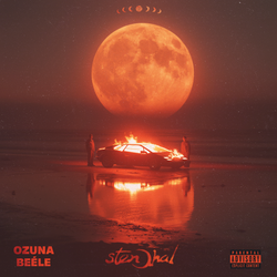 Stendhal [Orange Crush & Apple Red Colored Vinyl] [2LP] [Vinyl]